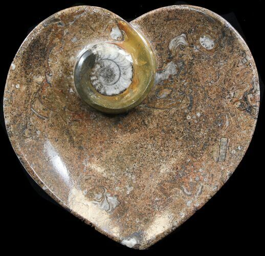 Heart Shaped Fossil Goniatite Dish #39307